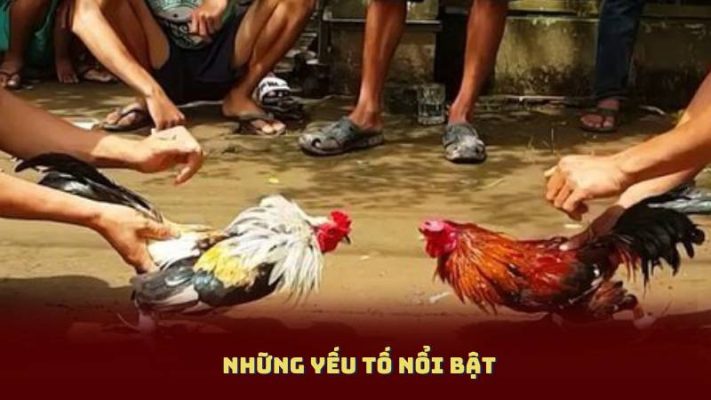 Những yếu tố nổi bật